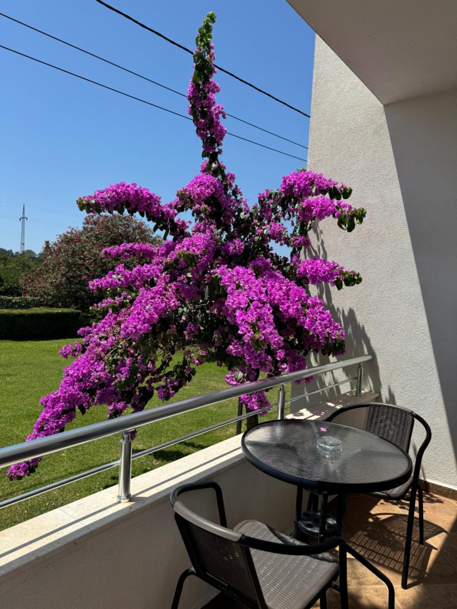 Sunrise House Apartments أولتْسي المظهر الخارجي الصورة