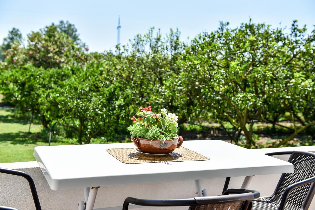 Sunrise House Apartments أولتْسي المظهر الخارجي الصورة